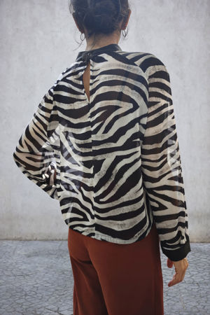 Picture of zebra top