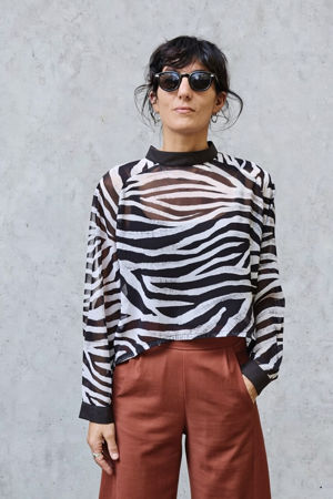 Picture of zebra top